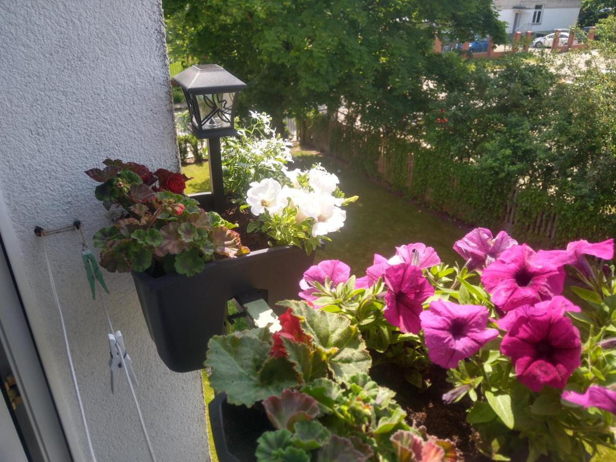 Apartament Olivia Centrum Z Zamknietym Parkingiem غدانسك المظهر الخارجي الصورة